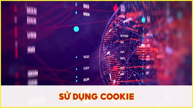 Nhà cái sử dụng Cookie nhằm hỗ trợ tối ưu cho trải nghiệm của người chơi