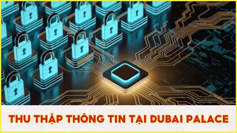 Thông tin thành viên được Dubai Palace thu thập để phục vụ cho mục đích bảo mật